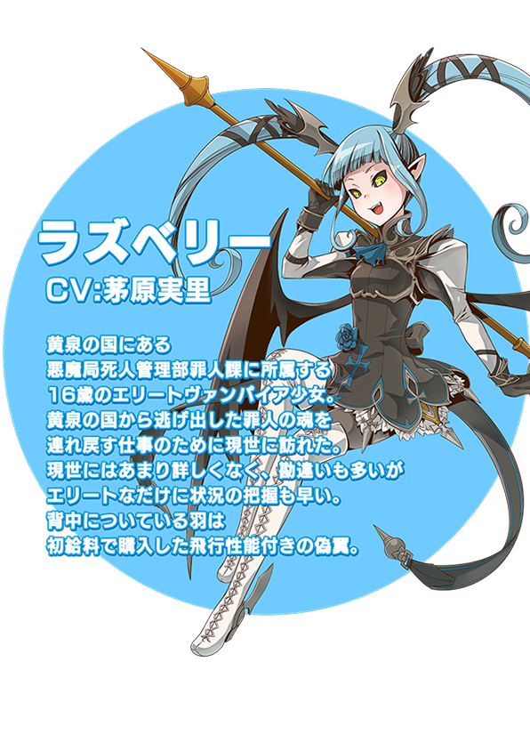 ラズベリー説明文